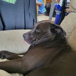 Michael Statzer - @michaelstatzer - Instagram