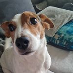 Michael Stawski - @meikel_gismo - Instagram