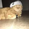 Michael Stefanov972 - @michaelstefanov - TikTok