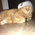 Michael Stefanov - @michaelstefanov - Instagram