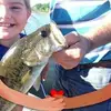 Michael J Steffey - @michaeljsteffey - TikTok