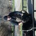 Mike Steffey - Facebook