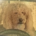 Michael Stegemann - @selfevidence - Instagram