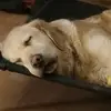 Michael Stegemann - @michael.stegemann6 - TikTok