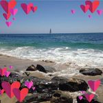 Michael Steil - @michaelsteil - Instagram