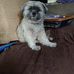 Michael Steinberg - Facebook