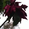 michaelstenson731 - @michaelstenson731 - TikTok