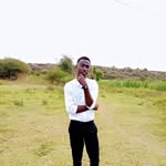Michael Stephano - @michael.stephano.3323 - Instagram