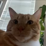 Michael Stephens - @michaels_510 - Instagram