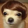 Michael Stern256 - @michaelstern256 - TikTok