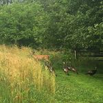 Michael Sterner - @sterner864 - Instagram