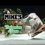 Michael Steve Sterner - @mikesbulgariangreen - Instagram