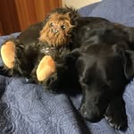 Michael Stiles - @stilesmonkey - Instagram