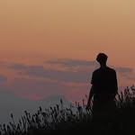 Michael Stimpfl - @michael.stimpfl - Instagram