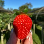 Michael Stimpson - @stimpson391 - Instagram