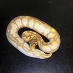 Michael Stinebaugh - @michaelstinebaugh - Instagram