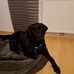 Michael Stockinger - Facebook