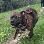 Michael Stodola - @wuffwas_dastodl69 - Instagram