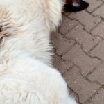 Michael Stöhr - @michael.stohr.965 - Instagram