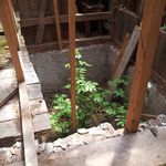 Michael Stöhr - @michael_stoehr85 - Instagram