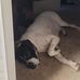 Michael Stokely - Facebook