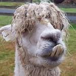 Michael Stolp - @mille1119 - Instagram