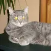 Michael Stolpmann - @michael.stolpmann - TikTok