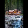 Michael Stoneham - @michael.stoneham - TikTok