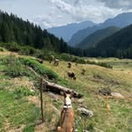 Michael Storer - @michaelstorer8 - Instagram