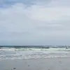 Michael Storer - @mgs1234567890 - TikTok