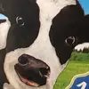 Michael Störmer - @micha1991 - TikTok