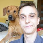 Michael Strachota - @fakin.migel - Instagram