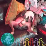 Joseph Michael Strader - @crackerjax420 - Instagram