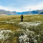 Michael Strader - @mikedstrader - Instagram