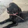 Michael_Strader - @michael_straderjr - TikTok