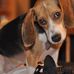 Michael Stranz - Facebook
