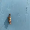 michaelstranz268 - @michaelstranz268 - TikTok