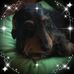 Michael Straub - Facebook