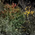 MichaelStripe - @evanw_5811 - Instagram