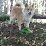 Michael Strohmeier - @strohi519 - Instagram