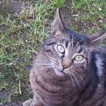 Michael Strohmeier - @michael.strohmeier.18 - Instagram