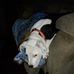 Michael Strong - Facebook
