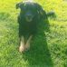 Mike Stropki - Facebook