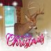 Mike Strosnider - Facebook