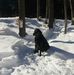 Michel Struthers - Facebook
