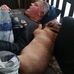 Michael Strydom - Facebook