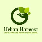 Michael Strydom - @urbanharvestkzn - Instagram