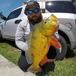 Michael Stuart - @follow__deez - Instagram