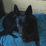 Michael Stucchio - @michaelstucchio - Instagram