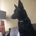 Michael Stucchio - Facebook